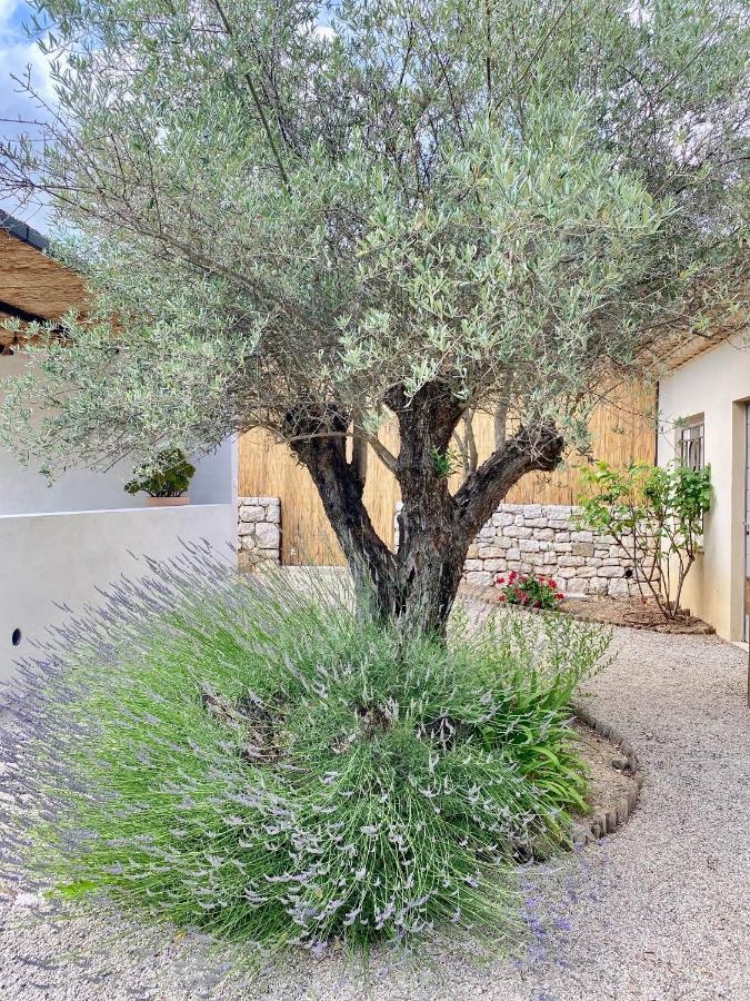 Le Cabanon Valbonne Lejlighed Eksteriør billede